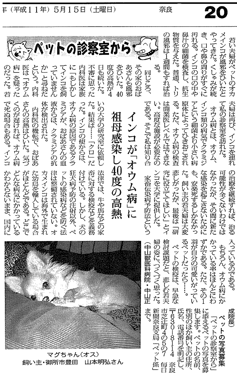 「オウム病」妊婦死んだ日本の最初の - 私たちの周りのニュース