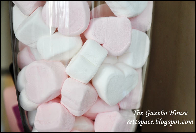 Valentines Day 2013 028
