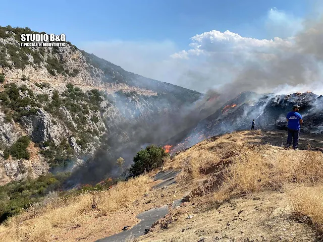 Σε εξέλιξη μέσα σε χαράδρα η πυρκαγιά στον Δήμο Επιδαύρου - Ρίψεις από αεροσκάφη και ελικόπτερο