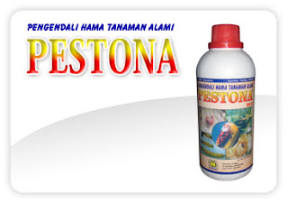 PESTONA merupakan formula pengendali organik bagi beberapa hama penting pada tanaman pangan, hortikultura dan tahunan, hasil ekstraksi dari berbagai bahan alami yang mengandung bahan aktif : Azadirachtin, Alkaloid, Ricin (asam ricin), Polifenol, Eugenol, Sitral, Nikotin, Annonain dll. Kandungan lain : Atsiri Oil, Eucalyptus Oil, Solvent Extraction. PESTONA dibuat dari bahan alami, maka PESTONA bersifat : mudah terurai dialam sehingga tidak mencemari lingkungan, relatif aman bagi manusia, hewan piaraan, serta musuh alami hama tanaman, tanaman/buah bebas residu kimia dan aman dikonsumsi. PESTONA tidak membunuh hama secara cepat, tetapi berpengaruh pada daya makan, pertumbuhan, daya reproduksi, proses ganti kulit, hambatan pembentukan serangga dewasa, menghambat komunikasi seksual, penurunan daya tetas telur, dan menghambat pembentukan kitin. Selain itu berperan sebagai zat pemandul, mengganggu proses perkawinan serangga hama, menghambat peletakkan telur dan dapat bekerja secara kontak dan sistemik. PESTONA memiliki daya kerja dalam mengurangi nafsu makan Organisme Pengganggu Tanaman (OPT) atau mencegah OPT merusak tanaman lebih banyak, walaupun jarang menyebabkan kematian segera pada serangga/hama.  PESTONA merupakan formula pengendali organik bagi beberapa hama penting pada tanaman pangan, hortikultura dan tahunan, hasil ekstraksi dari berbagai bahan alami yang mengandung bahan aktif :  1. Azadirachtin, Alkaloid, Ricin (asam ricin), Polifenol, Eugenol, Sitral, Nikotin, Annonain dll.  2. Kandungan lain : Atsiri Oil, Eucalyptus Oil, Solvent Extraction  PESTONA dibuat dari bahan alami, maka PESTONA bersifat :  1. Mudah terurai dialam sehingga tidak mencemari lingkungan  2. Relatif aman bagi manusia, hewan piaraan, serta musuh alami hama tanaman.  3. Tanaman/buah bebas residu kimia dan aman dikonsumsi.  MEKANISME KERJA :  PESTONA tidak membunuh hama secara cepat, tetapi berpengaruh pada daya makan, pertumbuhan, daya reproduksi, proses ganti kulit, hambatan pembentukan serangga dewasa, menghambat komunikasi seksual, penurunan daya tetas telur, dan menghambat pembentukan kitin. Selain itu berperan sebagai zat pemandul, mengganggu proses perkawinan serangga hama, menghambat peletakkan telur dan dapat bekerja secara kontak dan sistemik. PESTONA memiliki daya kerja dalam mengurangi nafsu makan Organisme Pengganggu Tanaman (OPT) atau mencegah OPT merusak tanaman lebih banyak, walaupun jarang menyebabkan kematian segera pada serangga/hama.  SASARAN :  wereng, walang sangit, penggerek batang, belalang, kepik, thrips, tungau, ulat, Uret dll.  ATURAN PAKAI :  Larutkan 5 cc - 10 cc / 1 liter air (7-10 tutup/tangki). Aduk sampai merata. Semprotkan/gemborkan pada tanaman yang terkena serangan hama secara merata. Untuk hasil yang maksimal sebaiknya tanaman disemprot/digembor sesering mungkin, minimal 3 (tiga) kali penyemprotan/penggemborkan per musim. Sebaiknya waktu penyemprotan/penggemborkan pada sore hari.