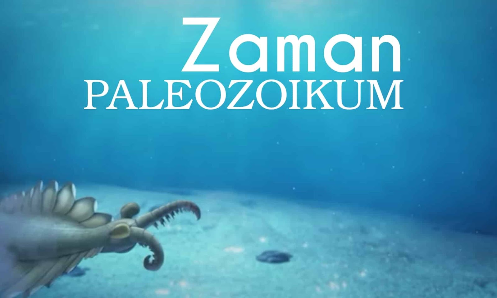 68 Gambar  Hewan Pada Zaman Paleozoikum  Gratis Terbaik 