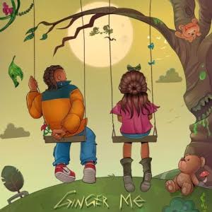 [Music] Rema-Ginger Me