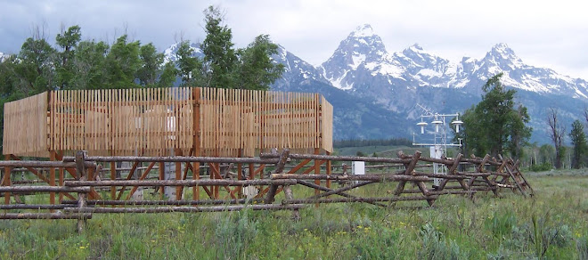 Photo of a station of the US Climate Reference Network with a prominent wind shield for the rain gauges.