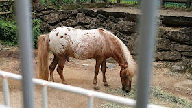 和歌山城 お城の動物園