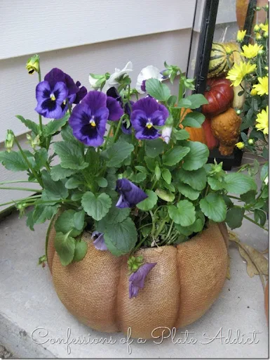 CONFESSIONS OF A PLATE ADDICT Pansies on Porch