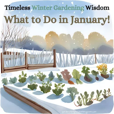 Timeless Winter Gardening Wisdom, What to Do in January!