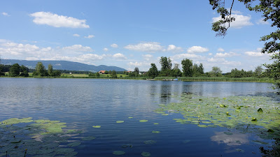 Inkwilersee