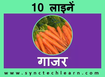 short nibandh on carrot in hindi for class 1