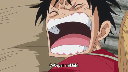 One Piece Episode 775 Subtitle Indonesia Razdroid