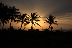 Gods own country