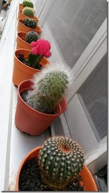20150430_183026