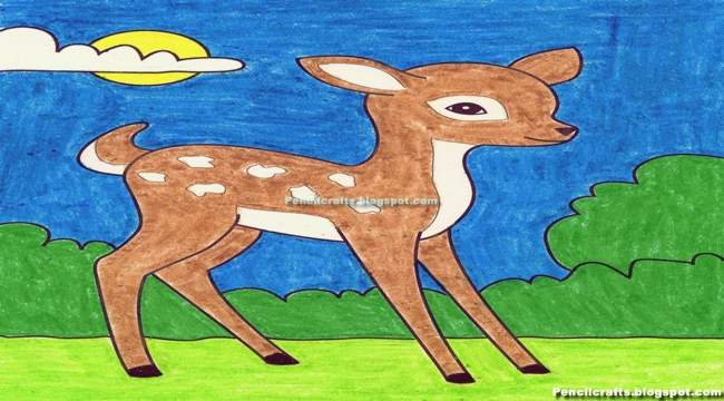 Color Pencil drawing Deer-beginner