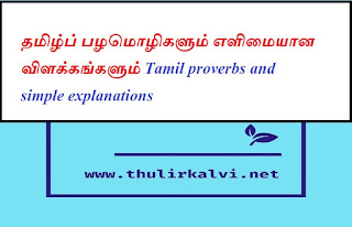 பை எடுத்தவனெல்லாம் வைத்தியன் ஆவானா?  Tamil proverbs and simple explanations