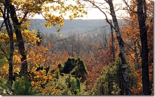 DSCN6681