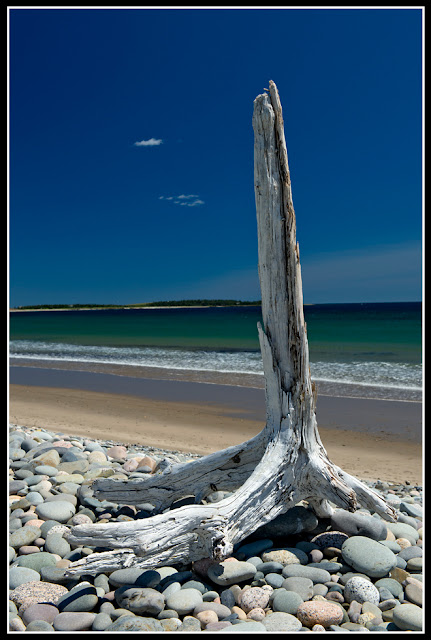 Nova Scotia; Hirtle's Beach; Beach; Atlantic; Shore; Maritimes; Driftwood