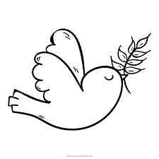 Bird Coloring Pages Images