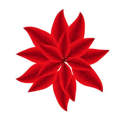 poinsettia06