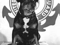 Sinbad: A Coast Guard Mascot Who Liked to Have Fun