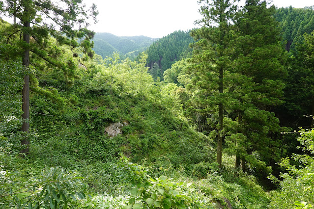 鳥取県西伯郡南部町八金 金華山登山道