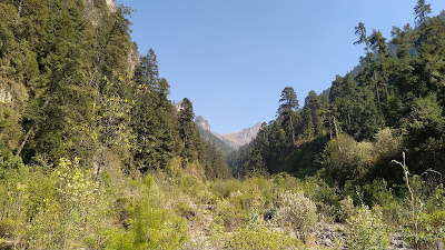 Nexpayantla, una mirada al Popocatepetl