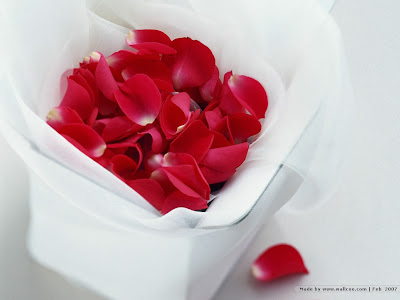 Love Wallpapers Love Wallpapers
