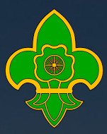 BSG