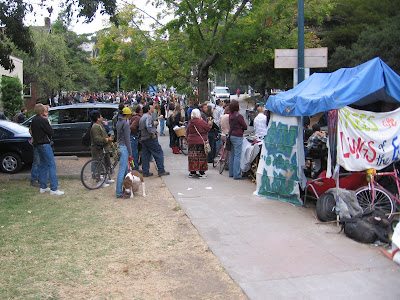 Crowd watching removal of tree sitters at UC Berkeley