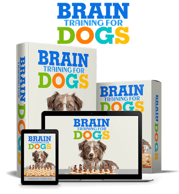 BRAIN TRANING FOR DOGS. 