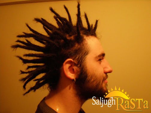 2after short dreads by Saljugh RaSTa