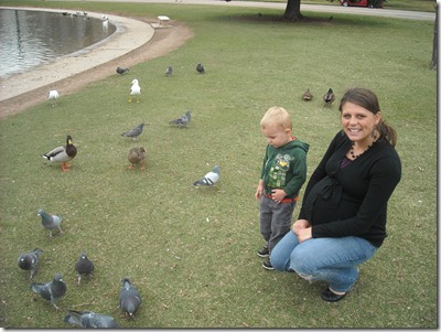 Ducks at Sugarhouse