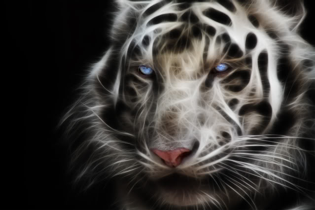 Fractal Tiger