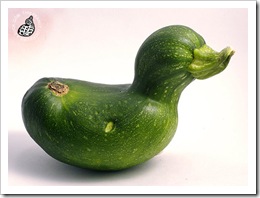 zuccini_duck