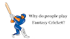 Why do people play Fantasy Cricket?