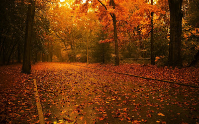 Herbst Landschaft Bild Wallpaper