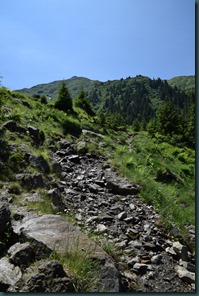 DSC_5453