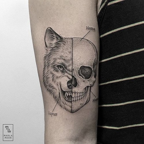 esta_brilhante_lobisomem_tatuagem_de_caveira