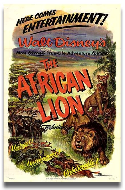 african cats poster. and African Cats,