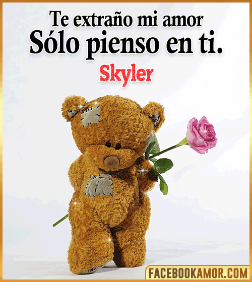 Te extraño mi amor skyler Te extraño mi amor skyler