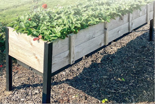 cedar raised garden bed