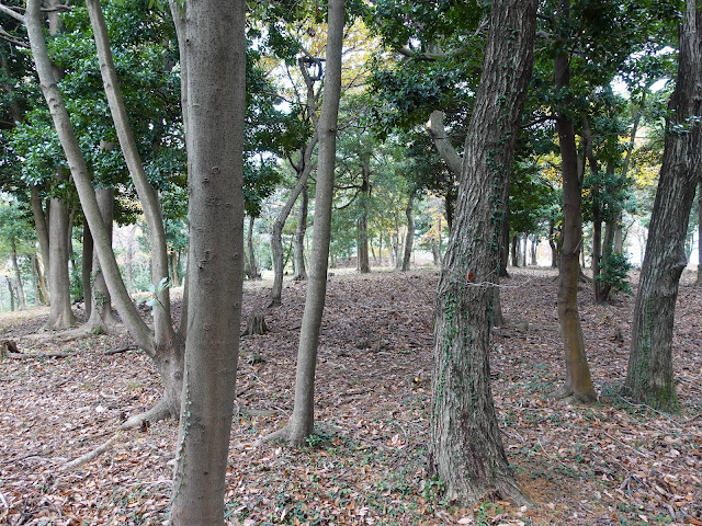 むきばんだ史跡公園の弥生の森