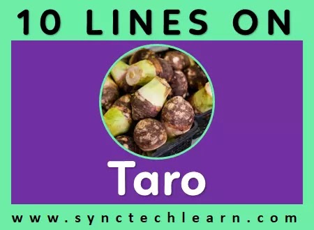 10 lines on taro in english for class 1