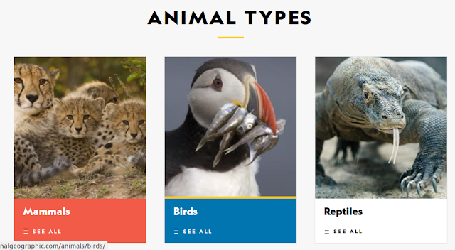 https://kids.nationalgeographic.com/animals/