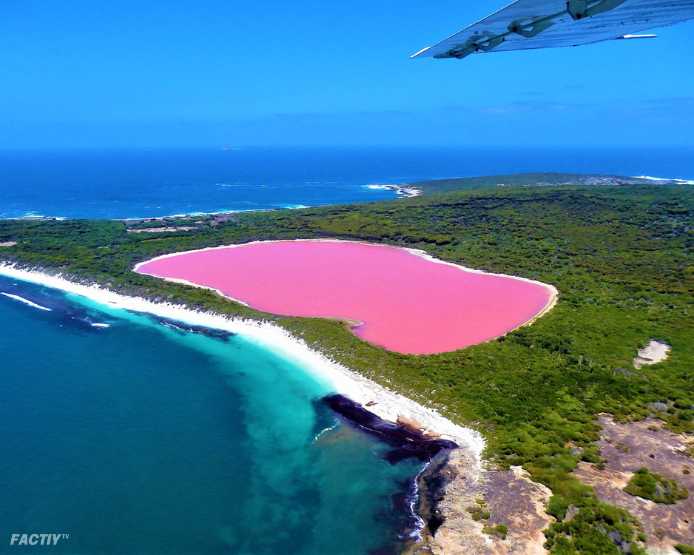 Lake Hillier (Pink Lake), Australia