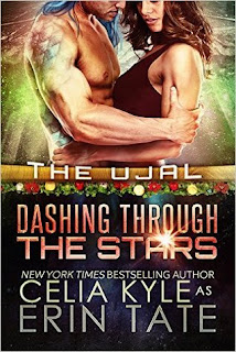 Dashing Through the Stars by Erin Tate