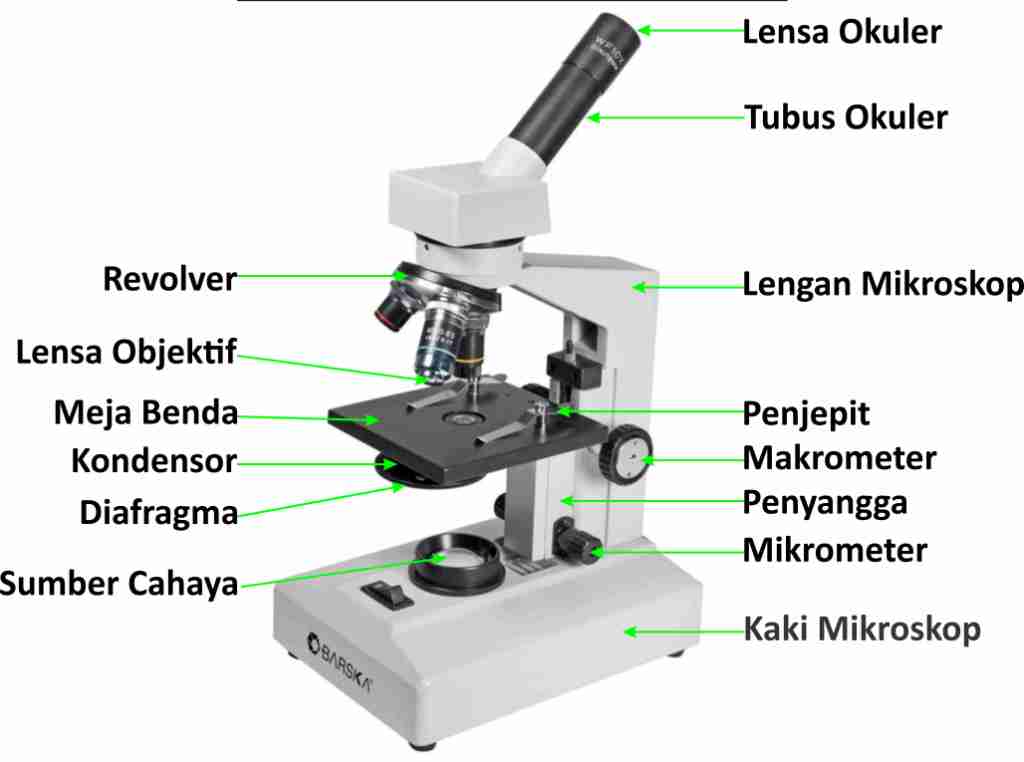  Mikroskop  Jenis Bagian dan Fungsi serta Cara  