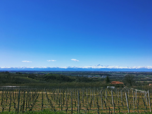 PANORAMA-LANGHE-ROERO