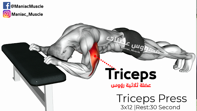 Triceps Press