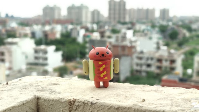 Hasil Kamera Xiaomi Mi A1