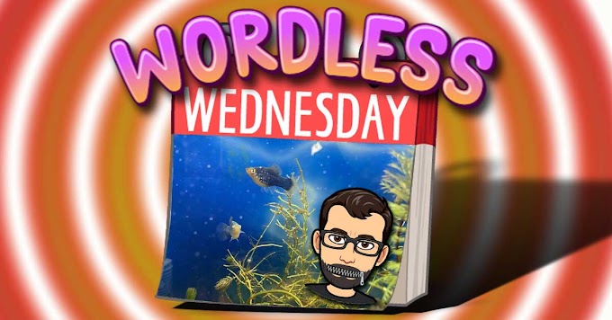 Ooo! Fishies! – Fun Wordless Wednesday