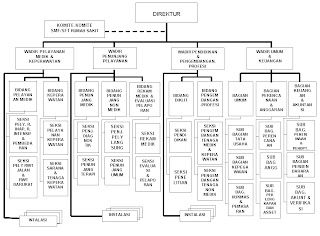 Gambar Struktur Organisasi Rumah Sakit Tipe D. gambar 
